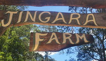 Jingara Farm